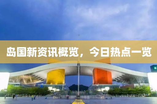 岛国新资讯概览，今日热点一览