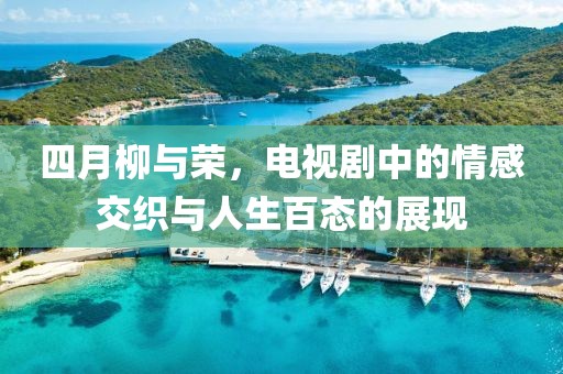四月柳与荣，电视剧中的情感交织与人生百态的展现