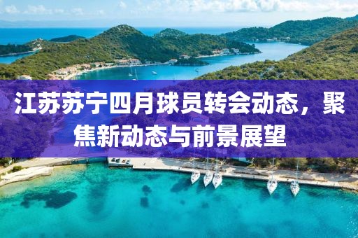 江苏苏宁四月球员转会动态，聚焦新动态与前景展望
