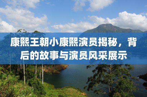 康熙王朝小康熙演员揭秘，背后的故事与演员风采展示