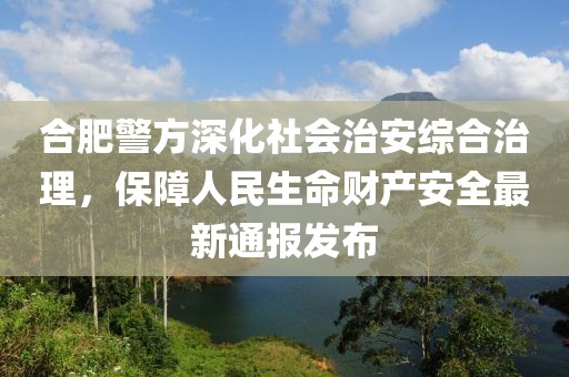 合肥警方深化社会治安综合治理，保障人民生命财产安全最新通报发布