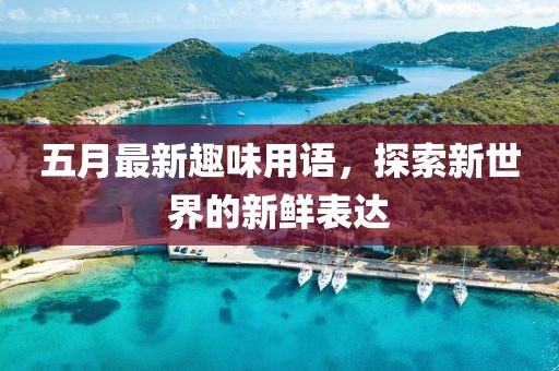 五月最新趣味用语，探索新世界的新鲜表达