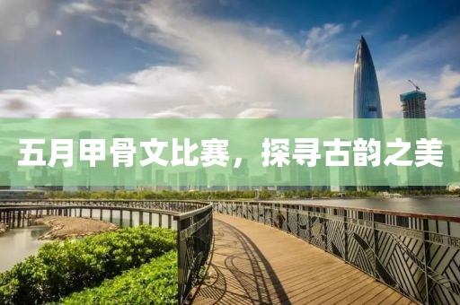 五月甲骨文比赛，探寻古韵之美