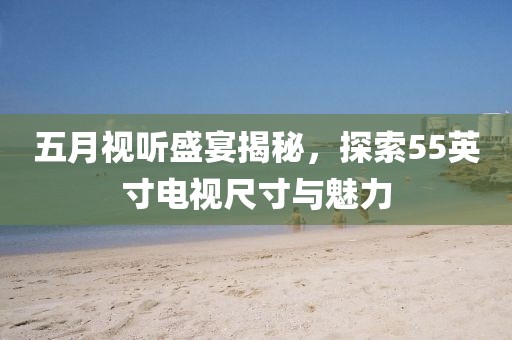 五月视听盛宴揭秘，探索55英寸电视尺寸与魅力