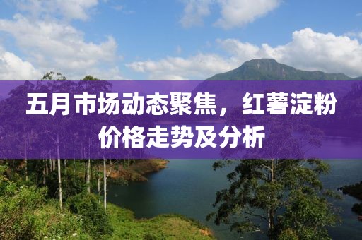 五月市场动态聚焦，红薯淀粉价格走势及分析