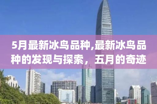 5月最新冰鸟品种,最新冰鸟品种的发现与探索，五月的奇迹