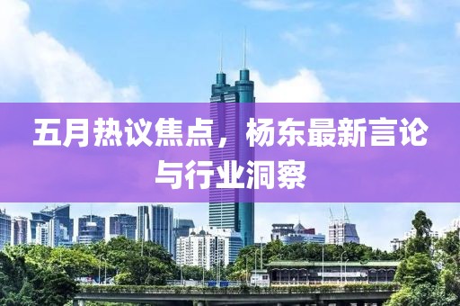 五月热议焦点，杨东最新言论与行业洞察
