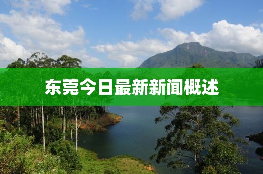 东莞今日最新新闻概述