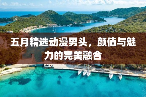 五月精选动漫男头，颜值与魅力的完美融合