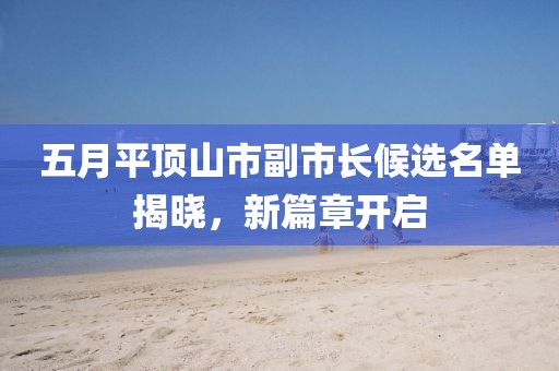 五月平顶山市副市长候选名单揭晓，新篇章开启