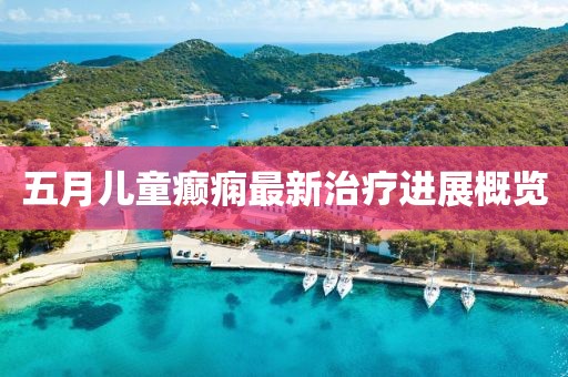 五月儿童癫痫最新治疗进展概览