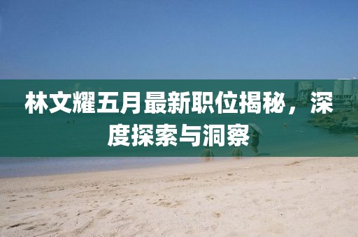 林文耀五月最新职位揭秘，深度探索与洞察