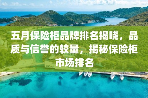 五月保险柜品牌排名揭晓，品质与信誉的较量，揭秘保险柜市场排名