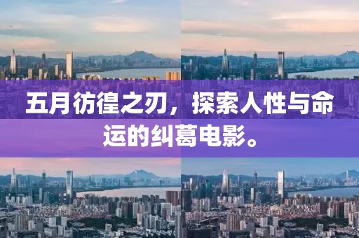 五月彷徨之刃，探索人性与命运的纠葛电影。