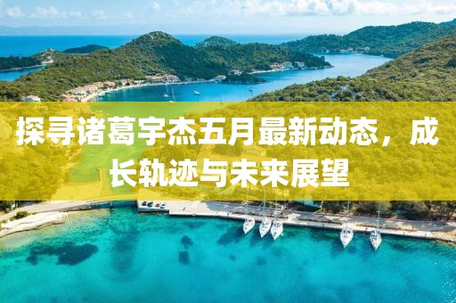 探寻诸葛宇杰五月最新动态，成长轨迹与未来展望