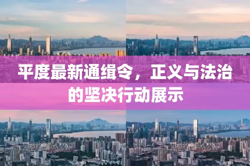 平度最新通缉令，正义与法治的坚决行动展示