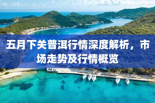 五月下关普洱行情深度解析，市场走势及行情概览