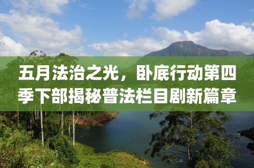 五月法治之光，卧底行动第四季下部揭秘普法栏目剧新篇章