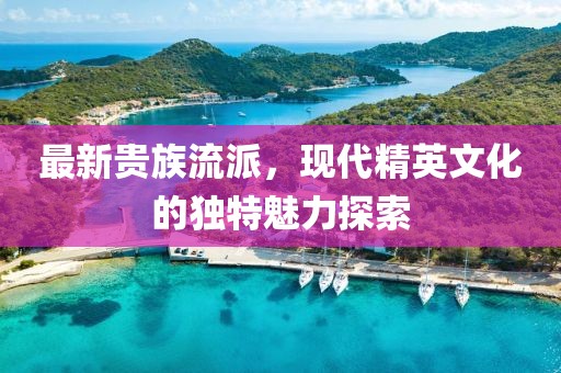 最新贵族流派，现代精英文化的独特魅力探索