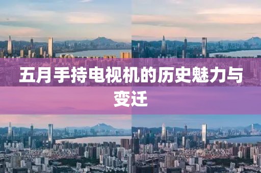 五月手持电视机的历史魅力与变迁