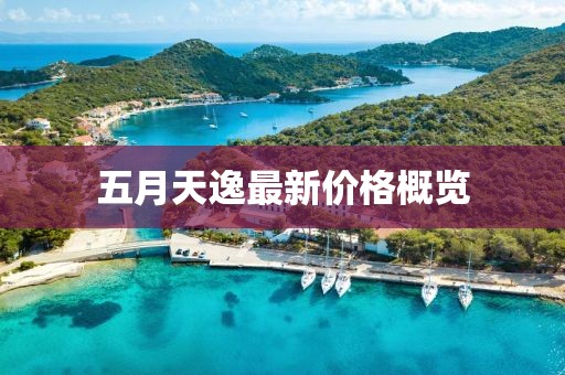 五月天逸最新价格概览