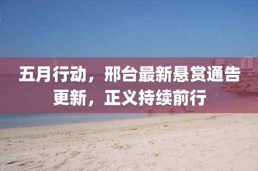五月行动，邢台最新悬赏通告更新，正义持续前行