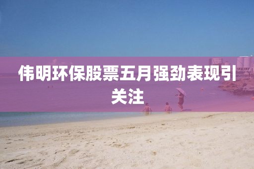 伟明环保股票五月强劲表现引关注