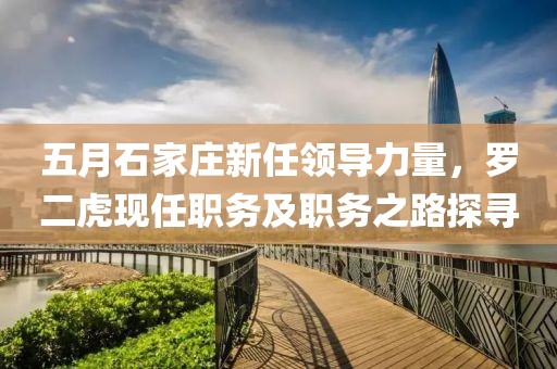 五月石家庄新任领导力量，罗二虎现任职务及职务之路探寻