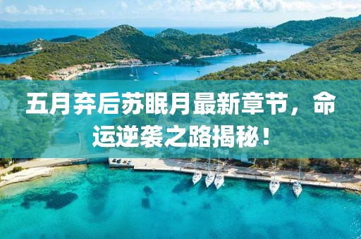五月弃后苏眠月最新章节，命运逆袭之路揭秘！
