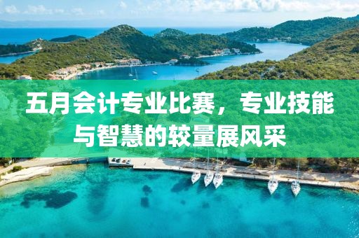 五月会计专业比赛，专业技能与智慧的较量展风采