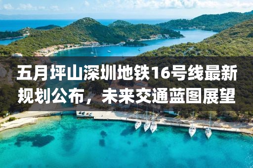 五月坪山深圳地铁16号线最新规划公布，未来交通蓝图展望