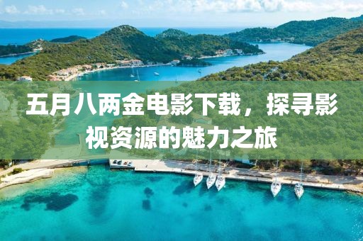 五月八两金电影下载，探寻影视资源的魅力之旅