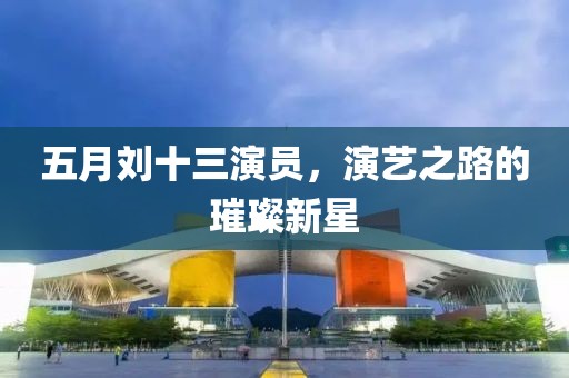 五月刘十三演员，演艺之路的璀璨新星