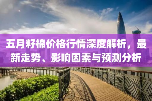 五月籽棉价格行情深度解析，最新走势、影响因素与预测分析