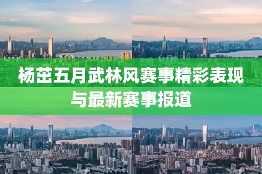 杨茁五月武林风赛事精彩表现与最新赛事报道