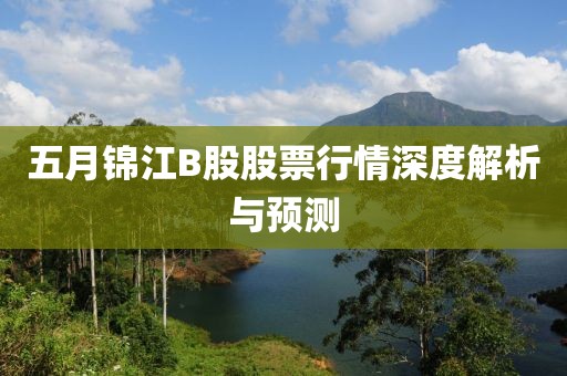 五月锦江B股股票行情深度解析与预测