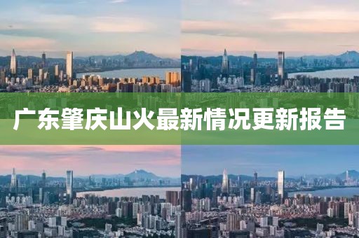 广东肇庆山火最新情况更新报告