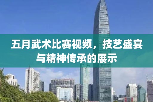 五月武术比赛视频，技艺盛宴与精神传承的展示