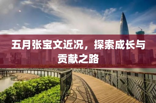 五月张宝文近况，探索成长与贡献之路