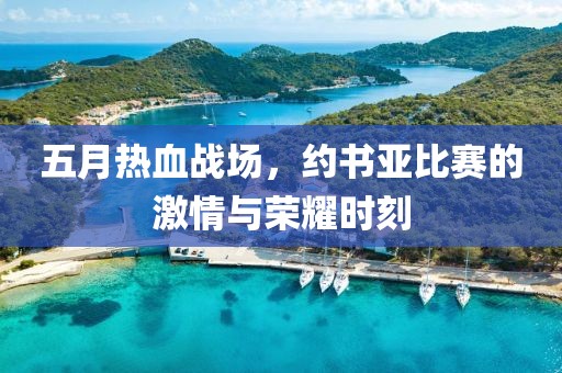 五月热血战场，约书亚比赛的激情与荣耀时刻