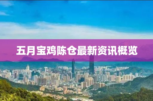 五月宝鸡陈仓最新资讯概览