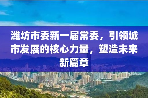 潍坊市委新一届常委，引领城市发展的核心力量，塑造未来新篇章