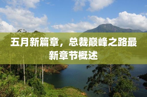 五月新篇章，总裁巅峰之路最新章节概述