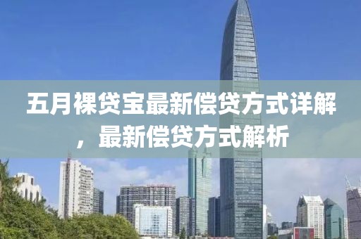 五月裸贷宝最新偿贷方式详解，最新偿贷方式解析