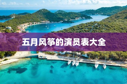 五月风筝的演员表大全