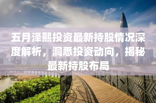 五月泽熙投资最新持股情况深度解析，洞悉投资动向，揭秘最新持股布局