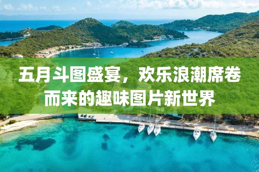 五月斗图盛宴，欢乐浪潮席卷而来的趣味图片新世界