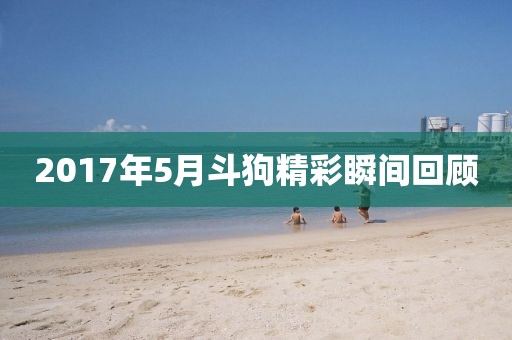 2017年5月斗狗精彩瞬间回顾