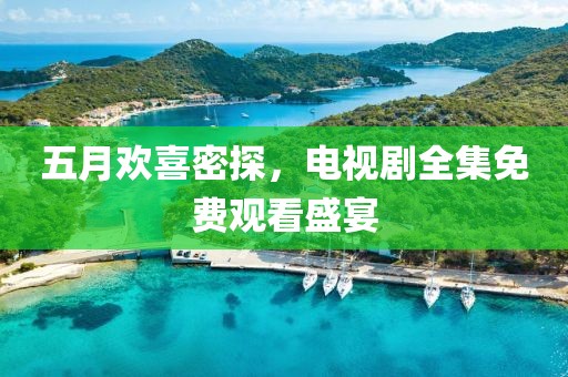 五月欢喜密探，电视剧全集免费观看盛宴