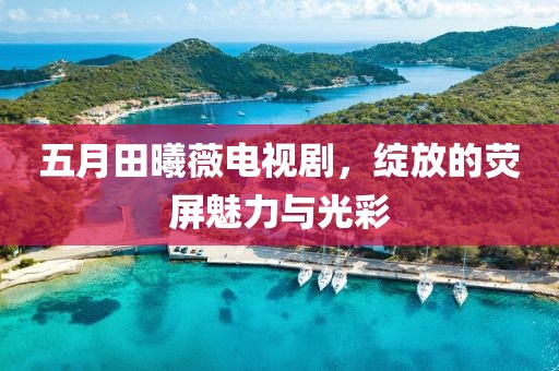 五月田曦薇电视剧，绽放的荧屏魅力与光彩